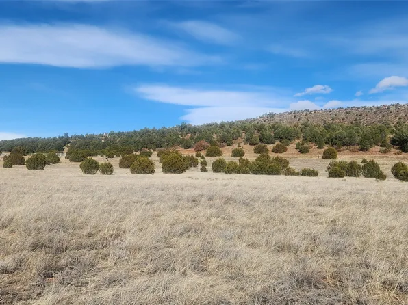 D 0th Tract, Las Vegas, NM 87701