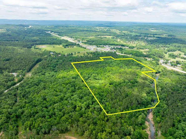 Highway 65, Clinton, AR 72031