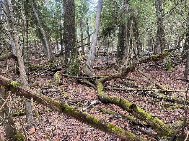 1st image of E Huron Dr
