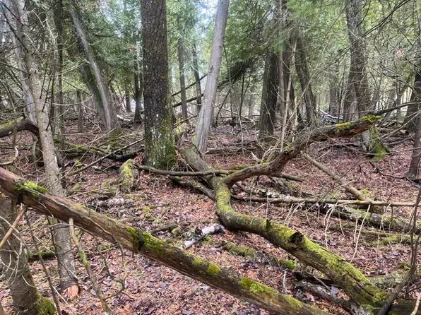 E Huron Dr, Pointe Aux Pins, MI 49775