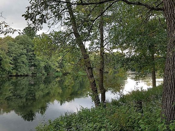 Looking north up river