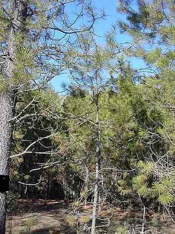 2nd image of 6300 State Route 291