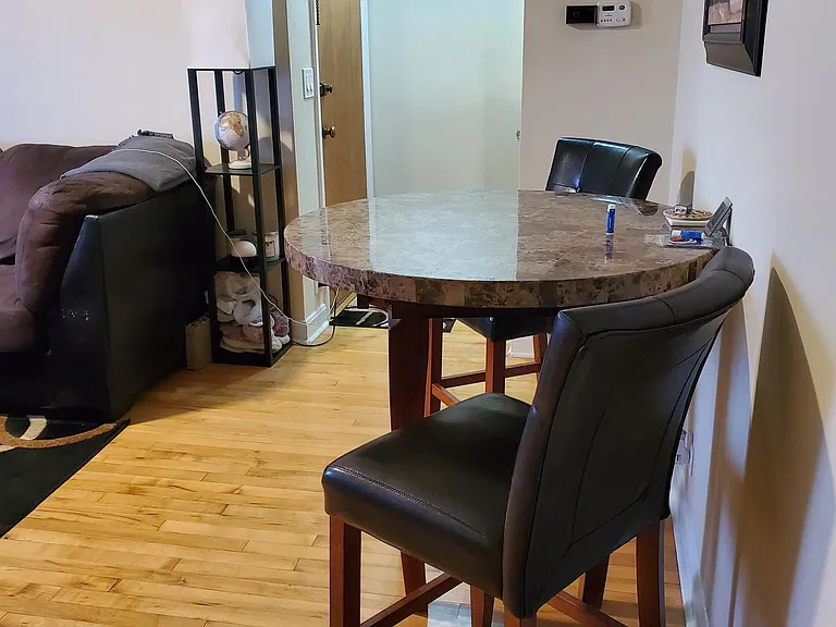 5438 N Elston Ave #2 — Photo 24