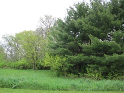 1139 Georgias Way, New Lenox, IL, 60451