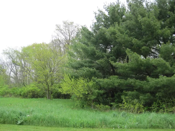 1139 Georgias Way, New Lenox, IL 60451