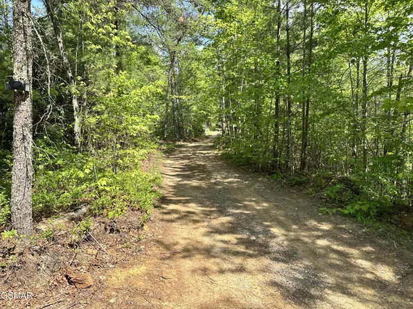 1286 Youngblood Way Lot 3&4, Cosby, TN 37722