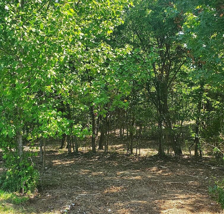 1st image of 0 Falcon Cir