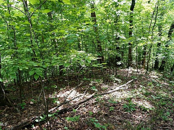 3rd image of 732 Mossy Hollow Rd Lot 732