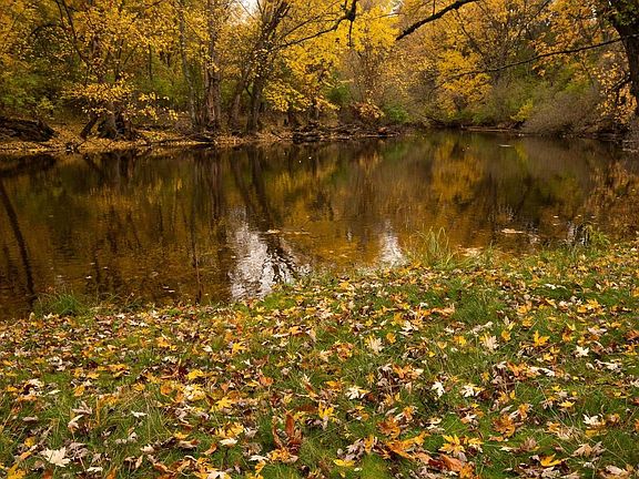 2nd image of 105 PRAIRIE STREET