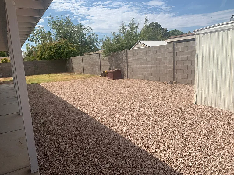 Backyard