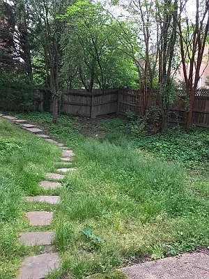 4903 Massachusetts Ave NW — Photo 22