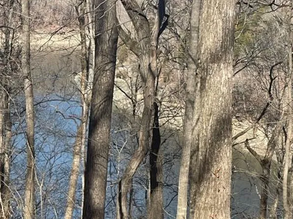 0 Lily Creek Resort Rd, Jamestown, KY 42629