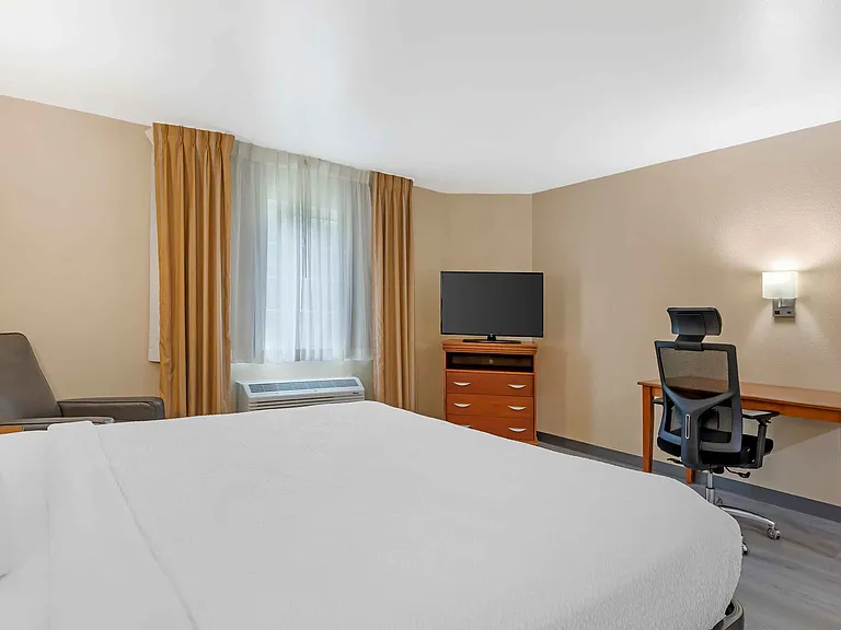 Studio Suite - 1 King Bed