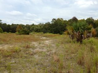 1616 Cedar St NE, Steinhatchee, FL 32359