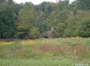 2364 Elton Rd, Bloomfield, NY 14469