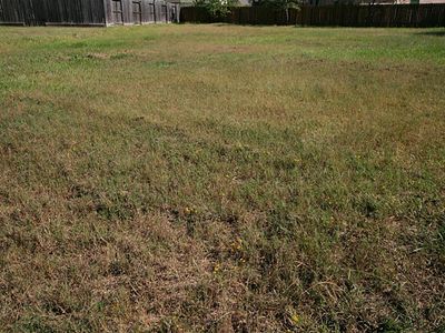 26014 Carolina Cherry Ct, Spring, TX, 77389