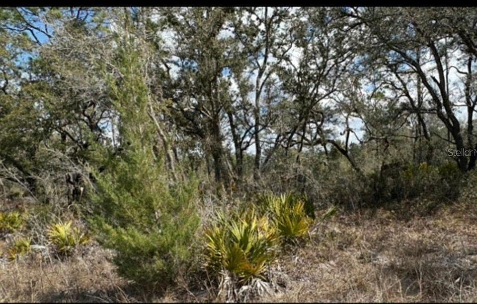 1st image of 18308 Parakeet Rd Lot 32