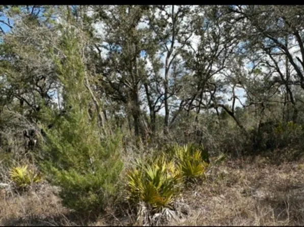 18308 Parakeet Rd Lot 32, Brooksville, FL 34614