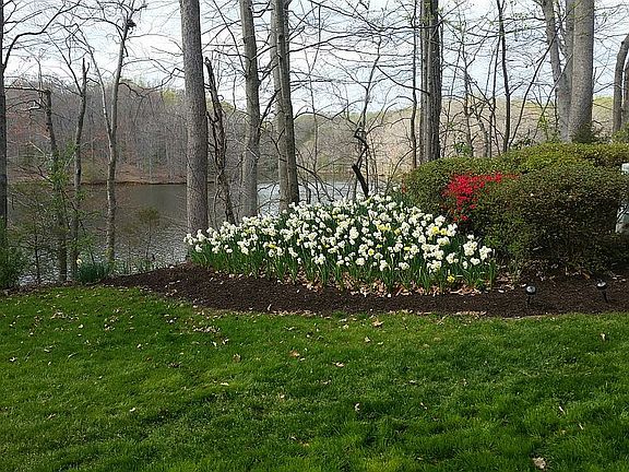 from the deck in spring