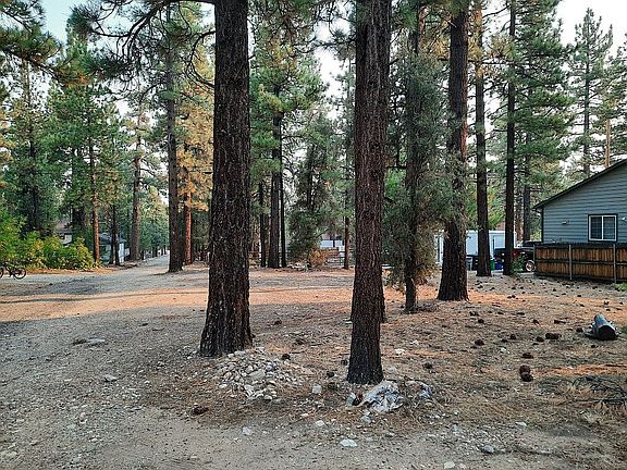 2nd image of Shady Ln