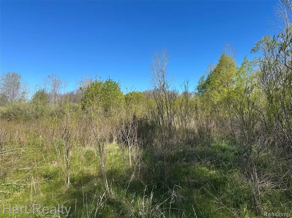 13 Single Tree Cir, Dryden, MI 48428