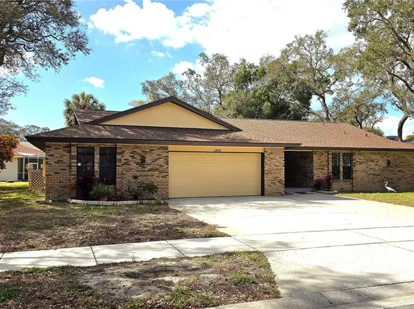 2890 Armadillo Dr, Palm Harbor, FL 34683