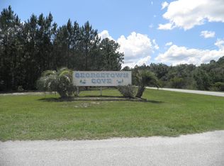 114 Marie Ave, Georgetown, FL 32139
