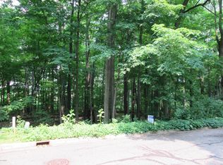 911 Wooded Ln N, Marshall, MI