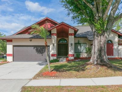 2528 Brimhollow Dr, Valrico, FL, 33596