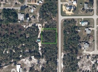 222 Hallmark Ave, Lake Placid, FL 33852