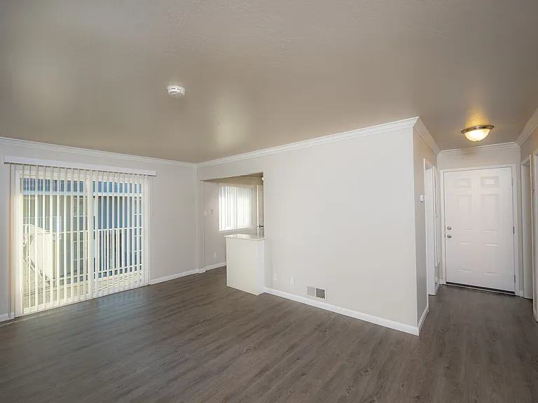 Palms #C-38 living