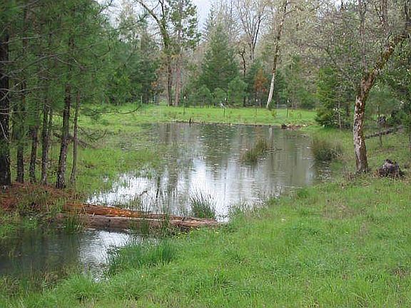 seasonal stream