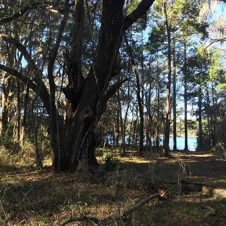 1st image of Rosehill Dr E