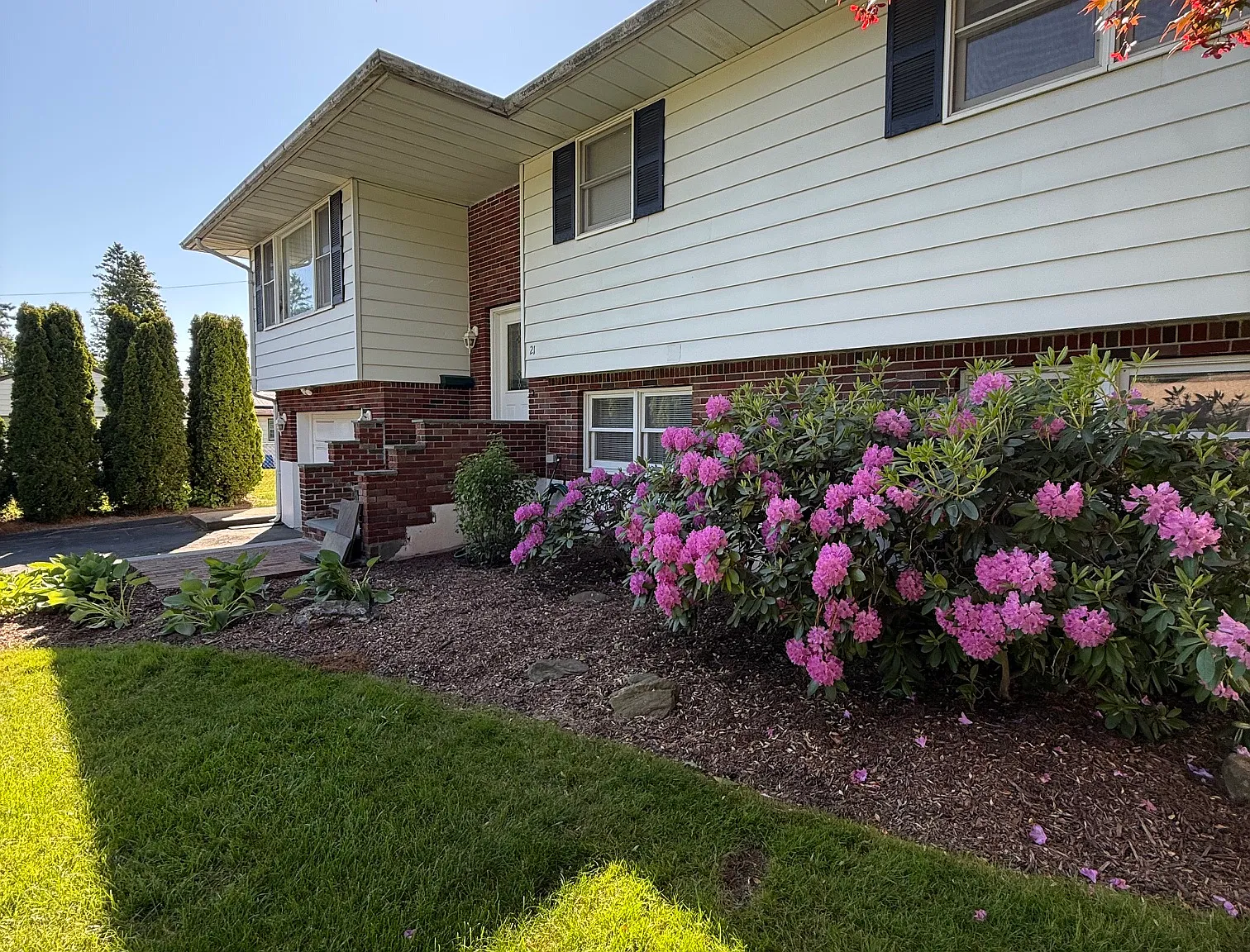 Cheryl Dr, Waterbury — Photo 2