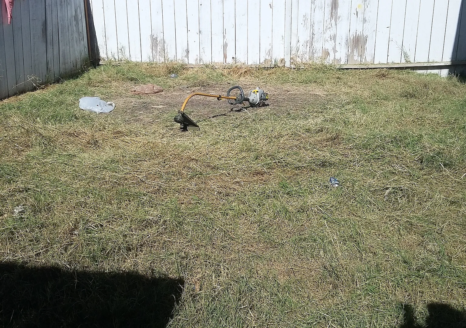 Available Now 3 Bed 1 Bath In Taft Ca — Photo 4