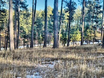 Tbd, Custer, SD, 57730