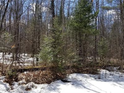 0 Smith Road, Couderay, WI, 54828