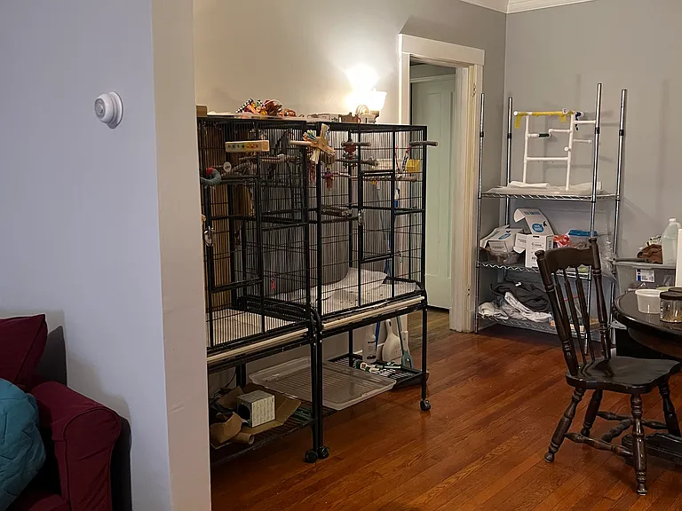 207 S Braddock Ave #1A — Photo 14