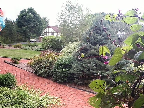 4th image of 56 Beth Ellen Dr