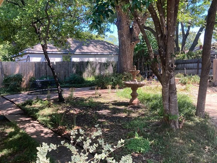 BEAUTIFUL BACKYARD
