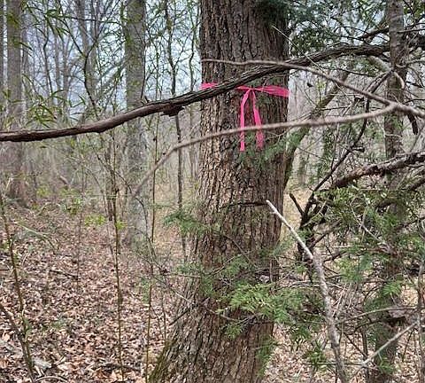 4th image of 0 Seven Island Rd Tract 3