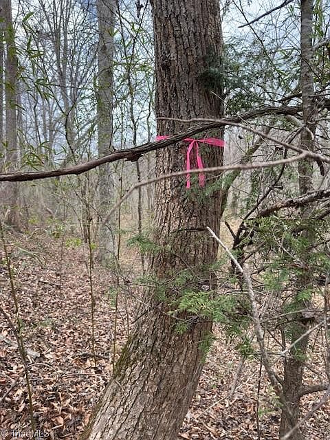 2nd image of 0 Seven Island Rd Tract 3