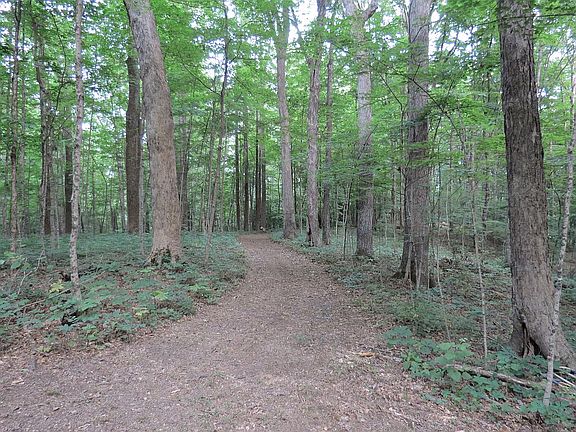 Trail