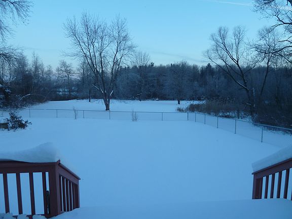 back yard - winter