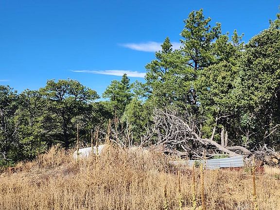 5th image of 31420 Timber Canyon Rd