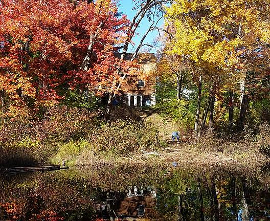 View of backyard from river