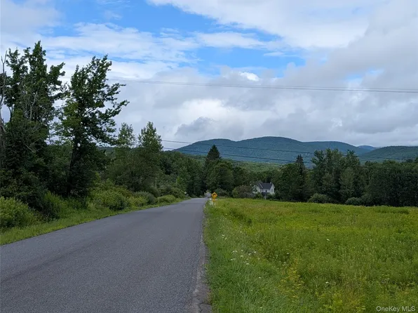 Hubbell Hill Road, Margaretville, NY 12455