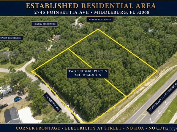 2745 Poinsettia Ave, Middleburg, FL 32068
