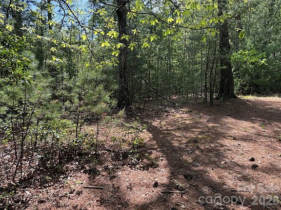 5th image of Staghorn Rd #51 & 52a