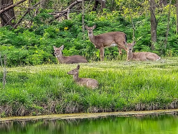 2nd image of N/a Old State Rd